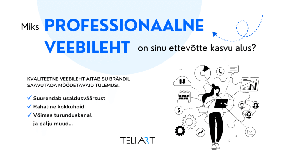 Professionaalne veebileht on sinu ettevõtte kasvu alus